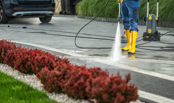 Best Fence Cleaning and Maintenance in Hewlett, NY